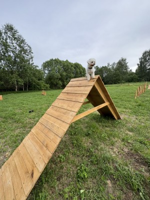 Dobré nápady obyvatel se už mění ve skutečnost. Jako první se otevřel Hafpark