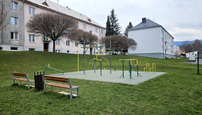 Workoutové hřiště (Mahenova)