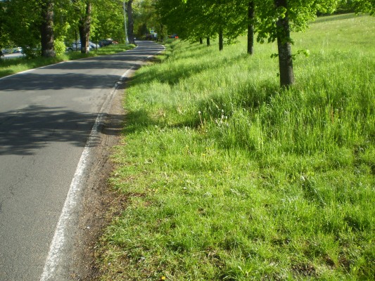 Před zahájením stavby