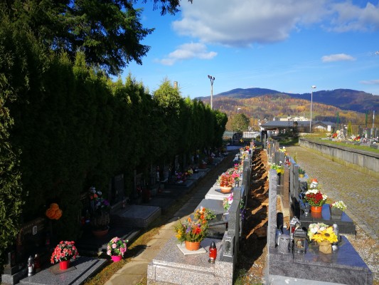 Byla odstraněna horní řada přerostlých thují