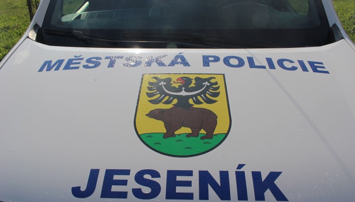 Správná praxe - Prevence nehodovosti vozidel s právem přednostní jízdy v regionu Jeseník - Nysa