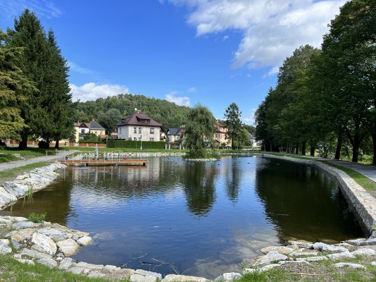 Rybníček na ul. Denisova