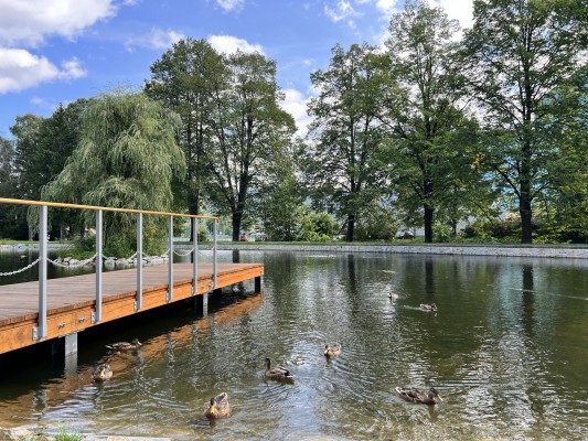 Rybníček po revitalizaci.