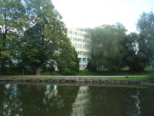 Rybníček před revitalizací