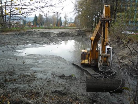 Odbahnění rybníku Staříč 1a Jeseník