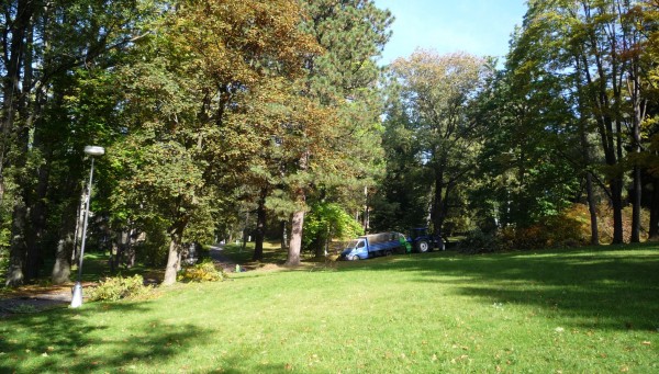 Regenerace zeleně ve vybraných lokalitách města Jeseník