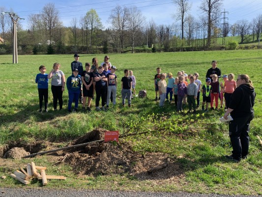 Výsadba byla podpořena Nadací ČEZ